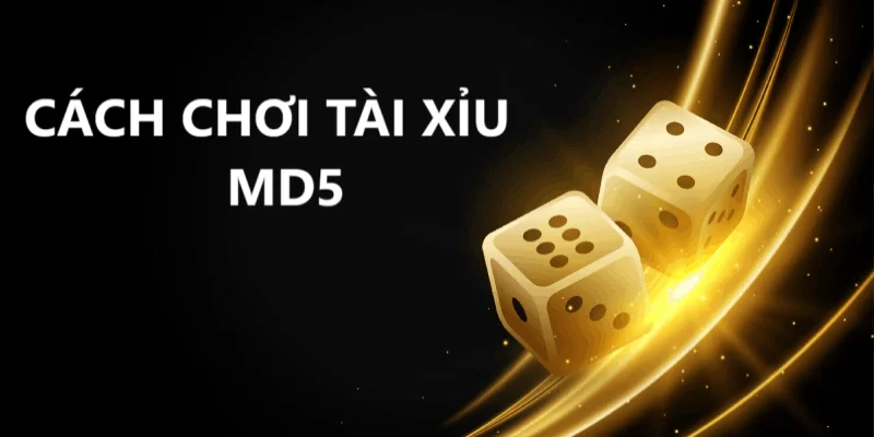 Cách chơi tài xỉu MD5